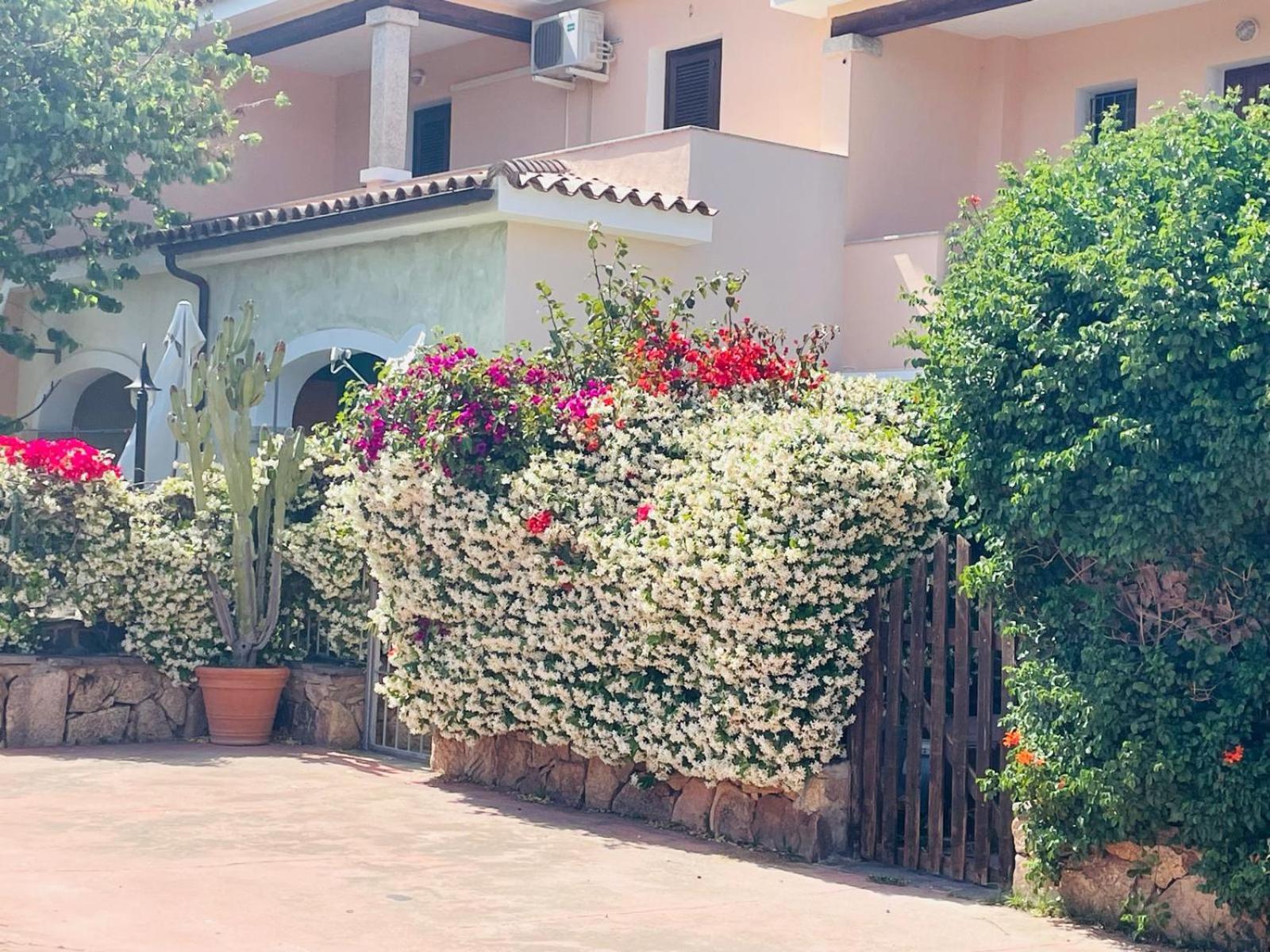 Appartamento Le Querce Vaccileddi Dış mekan fotoğraf
